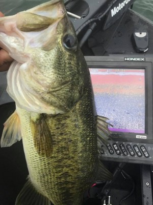 hideup 永野総一朗 ブログ写真 2017/06/22