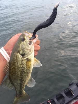 hideup 永野総一朗 ブログ写真 2015/09/15