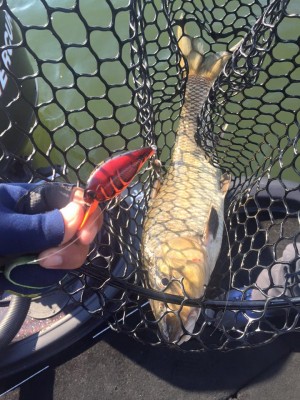 hideup 永野総一朗 ブログ写真 2016/02/17