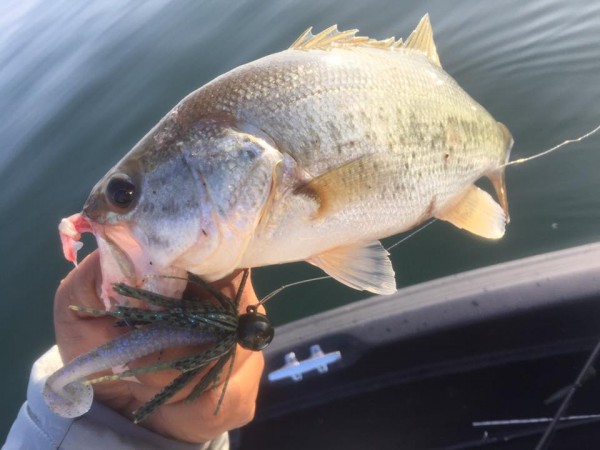 hideup 永野総一朗 ブログ写真 2016/10/20