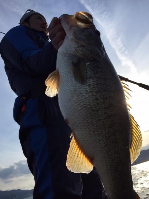 hideup 永野総一朗 ブログ写真 2017/03/16