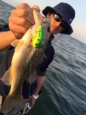 hideup 永野総一朗 ブログ写真 2016/05/15