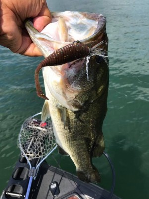 hideup 永野総一朗 ブログ写真 2017/07/16