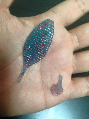 hideup 永野総一朗 ブログ写真 2015/02/07