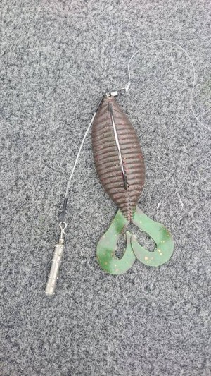 hideup 永野総一朗 ブログ写真 2017/09/07