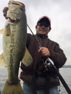 hideup 豌ｸ驥守ｷ丈ｸ譛� 繝悶Ο繧ｰ蜀咏悄 2016/04/23