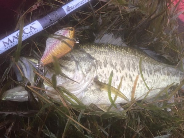 hideup 永野総一朗 ブログ写真 2015/11/08