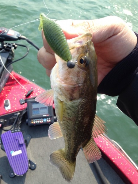 hideup 永野総一朗 ブログ写真 2014/04/11