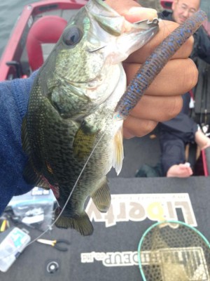 hideup 永野総一朗 ブログ写真 2015/06/12