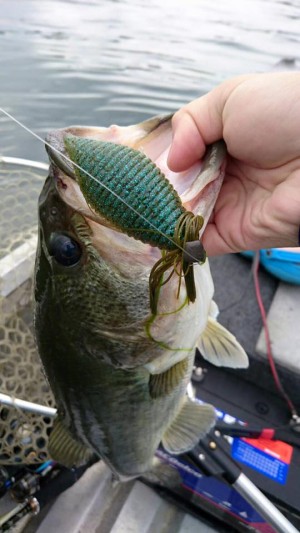 hideup 永野総一朗 ブログ写真 2016/06/12