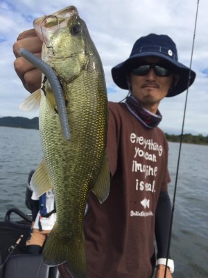 hideup 豌ｸ驥守ｷ丈ｸ譛� 繝悶Ο繧ｰ蜀咏悄 2016/10/01