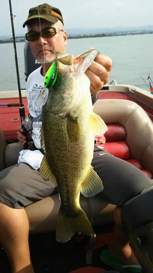 hideup 豌ｸ驥守ｷ丈ｸ譛� 繝悶Ο繧ｰ蜀咏悄 2016/10/03