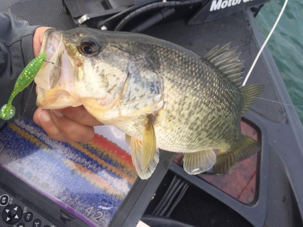 hideup 永野総一朗 ブログ写真 2017/03/19