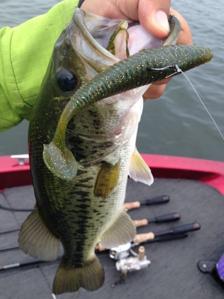 hideup 永野総一朗 ブログ写真 2014/06/19