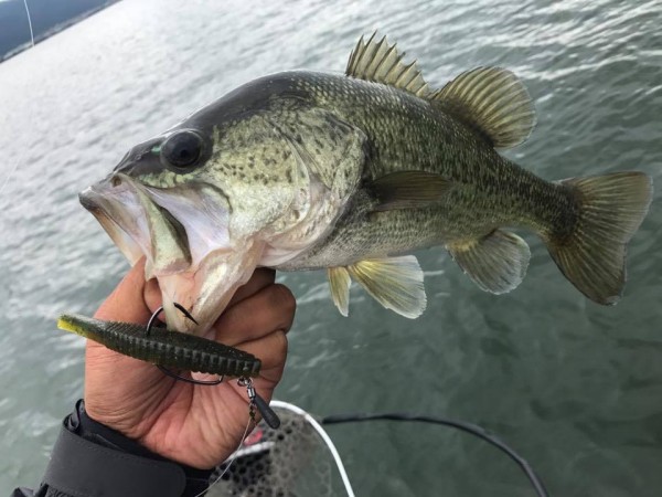 hideup 永野総一朗 ブログ写真 2017/09/12