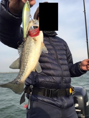 hideup 永野総一朗 ブログ写真 2016/04/12