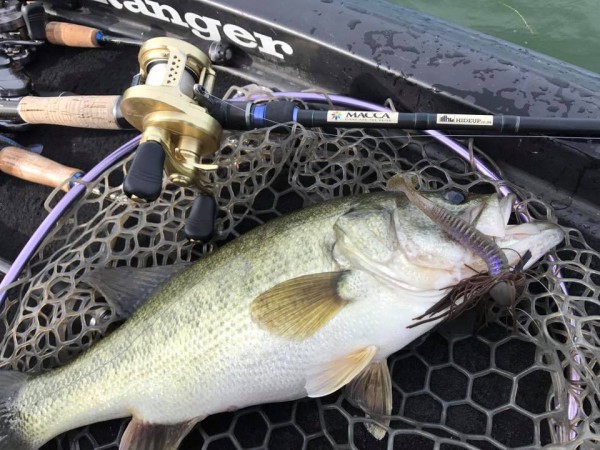 hideup 豌ｸ驥守ｷ丈ｸ譛� 繝悶Ο繧ｰ蜀咏悄 2017/09/14