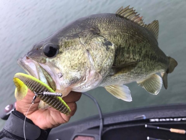 hideup 永野総一朗 ブログ写真 2017/09/08