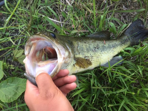 hideup 永野総一朗 ブログ写真 2017/04/30