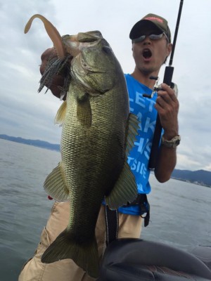 hideup 豌ｸ驥守ｷ丈ｸ譛� 繝悶Ο繧ｰ蜀咏悄 2016/09/16