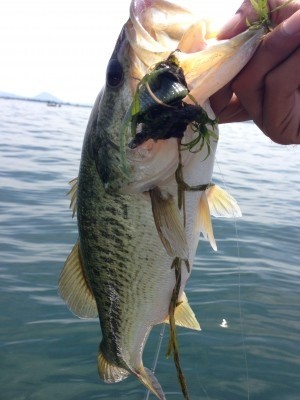 hideup 豌ｸ驥守ｷ丈ｸ譛� 繝悶Ο繧ｰ蜀咏悄 2013/07/27