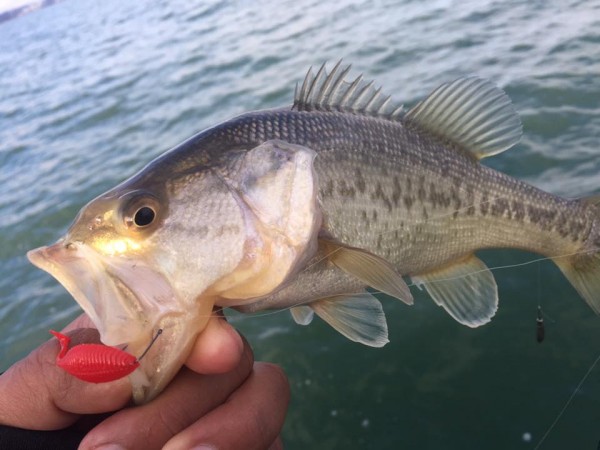hideup 永野総一朗 ブログ写真 2017/01/26