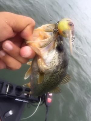 hideup 永野総一朗 ブログ写真 2016/04/21