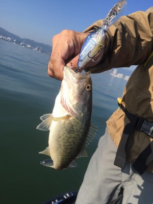 hideup 永野総一朗 ブログ写真 2016/11/05