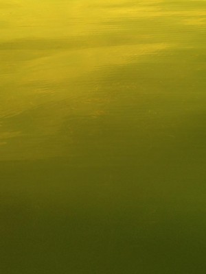 hideup 永野総一朗 ブログ写真 2015/06/17