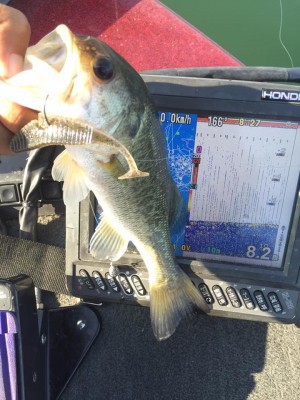 hideup 永野総一朗 ブログ写真 2015/09/15