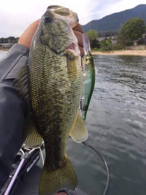 hideup 永野総一朗 ブログ写真 2016/10/14