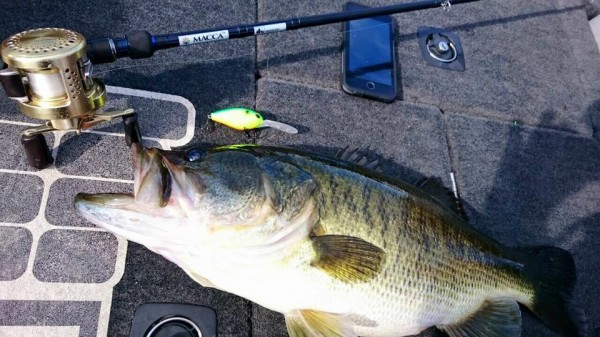 hideup 永野総一朗 ブログ写真 2015/11/15