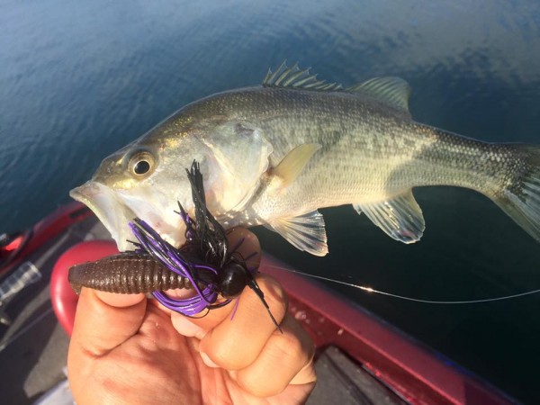 hideup 永野総一朗 ブログ写真 2015/11/21