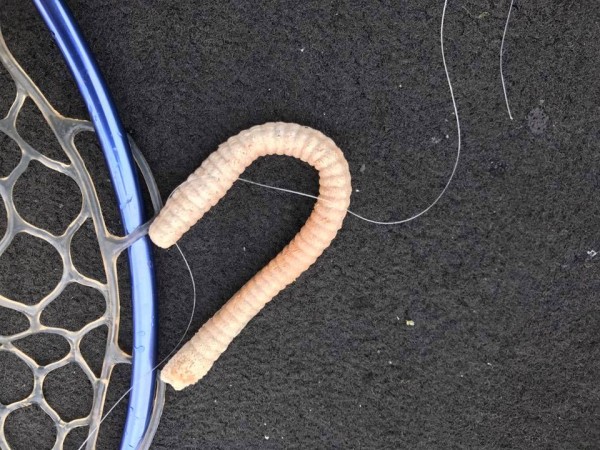 hideup 永野総一朗 ブログ写真 2017/11/07