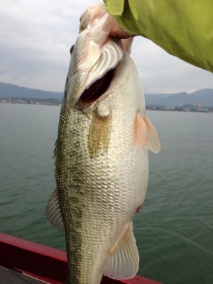 hideup 永野総一朗 ブログ写真 2013/03/13