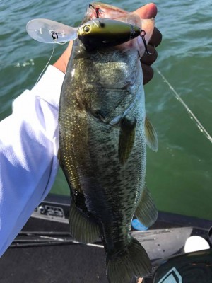 hideup 永野総一朗 ブログ写真 2017/09/08