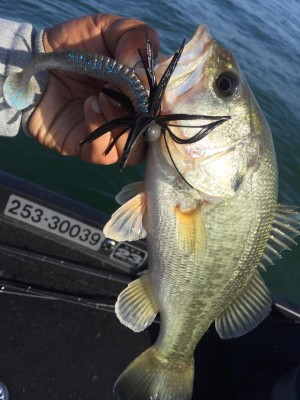 hideup 永野総一朗 ブログ写真 2016/11/12