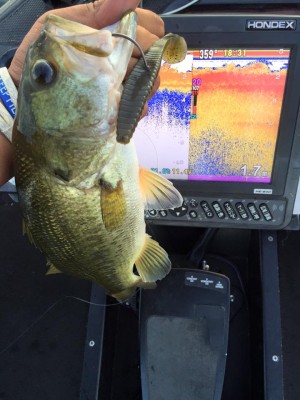 hideup 永野総一朗 ブログ写真 2016/08/07