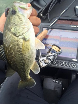 hideup 永野総一朗 ブログ写真 2016/04/18