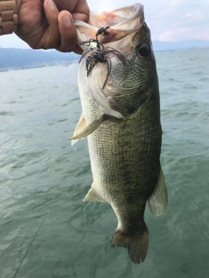 hideup 永野総一朗 ブログ写真 2017/07/08