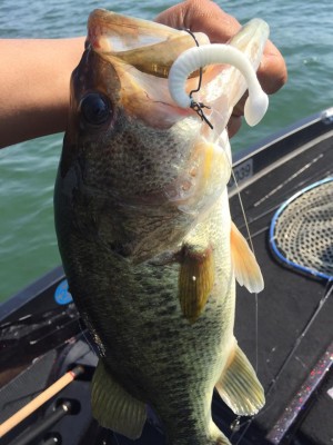 hideup 永野総一朗 ブログ写真 2017/05/20