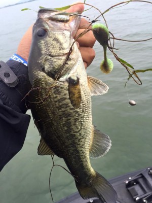 hideup 永野総一朗 ブログ写真 2016/06/04