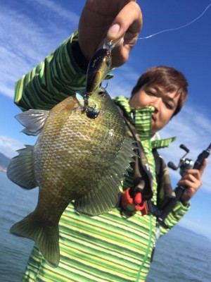 hideup 永野総一朗 ブログ写真 2016/10/10