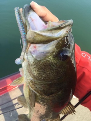 hideup 永野総一朗 ブログ写真 2015/10/23