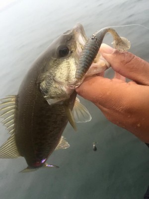 hideup 永野総一朗 ブログ写真 2015/11/14