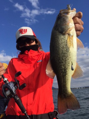 hideup 永野総一朗 ブログ写真 2015/11/01