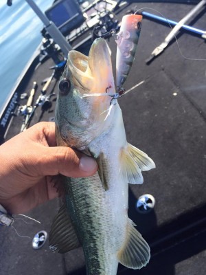 hideup 永野総一朗 ブログ写真 2016/06/11