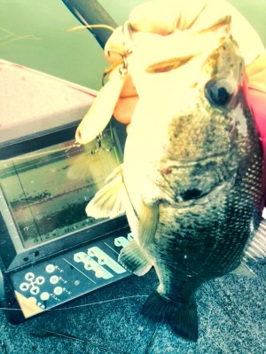 hideup 豌ｸ驥守ｷ丈ｸ譛� 繝悶Ο繧ｰ蜀咏悄 2015/06/09