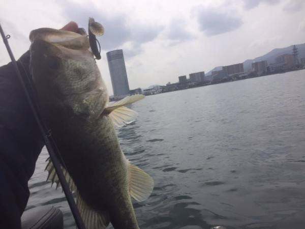 hideup 永野総一朗 ブログ写真 2016/03/06