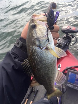 hideup 永野総一朗 ブログ写真 2015/11/21